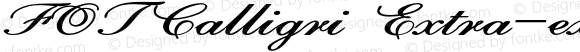 FOTCalligri Extra-expanded Bold Italic