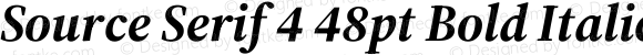 Source Serif 4 48pt Bold Italic