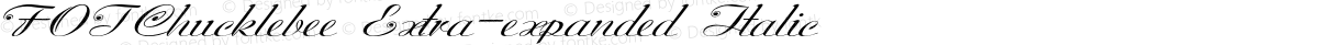 FOTChucklebee Extra-expanded Italic