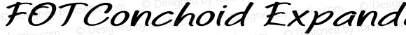 FOTConchoid Expanded Bold Italic