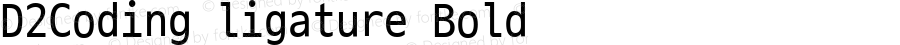 D2Coding ligature Bold