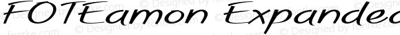 FOTEamon Expanded Bold Italic