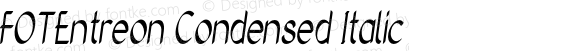 FOTEntreon Condensed Italic