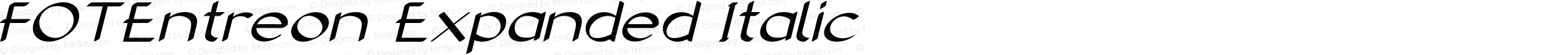 FOTEntreon Expanded Italic