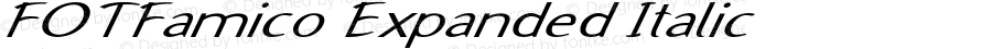 FOTFamico Expanded Italic