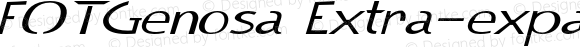 FOTGenosa Extra-expanded Italic