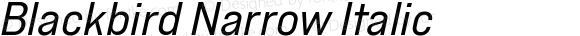 Blackbird Narrow Italic