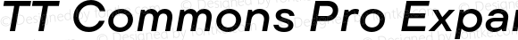 TT Commons Pro Expanded DemiBold Italic