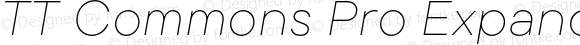 TT Commons Pro Expanded Thin Italic