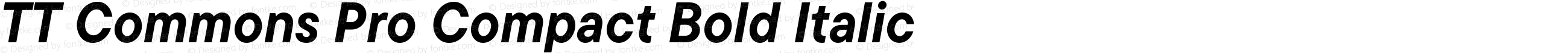 TT Commons Pro Compact Bold Italic