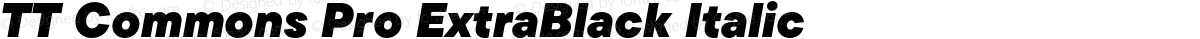 TT Commons Pro ExtraBlack Italic