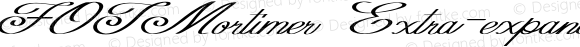 FOTMortimer Extra-expanded Italic