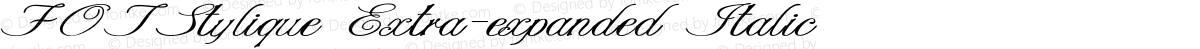 FOTStylique Extra-expanded Italic