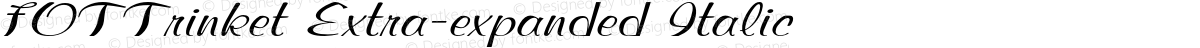 FOTTrinket Extra-expanded Italic