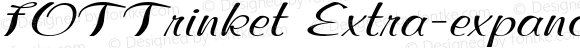 FOTTrinket Extra-expanded Italic