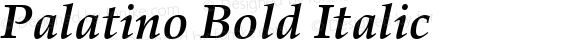 Palatino Bold Italic