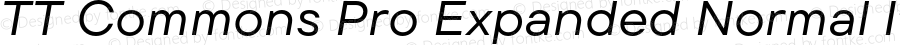 TT Commons Pro Expanded Normal Italic