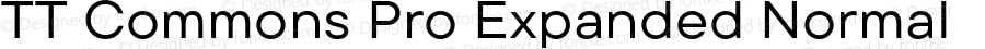 TT Commons Pro Expanded Normal