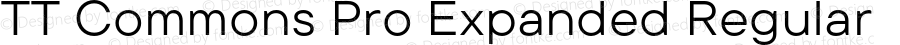 TT Commons Pro Expanded Regular