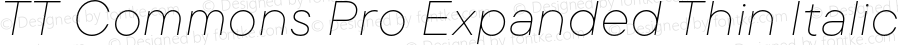 TT Commons Pro Expanded Thin Italic