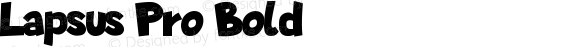 Lapsus Pro Bold