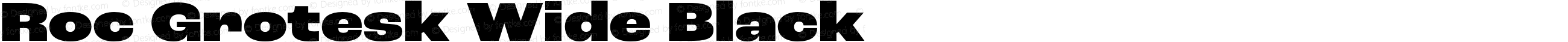 Roc Grotesk Wide Black