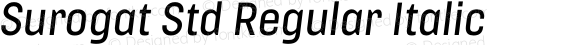 Surogat Std Regular Italic