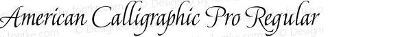 American Calligraphic Pro Regular Version 1.001 2017
