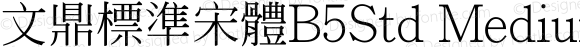 文鼎標準宋體B5Std_M