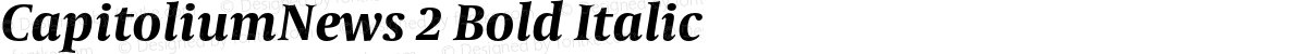 CapitoliumNews 2 Bold Italic