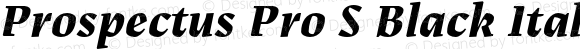 Prospectus Pro S Black Italic