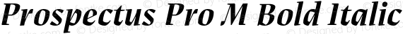 Prospectus Pro M Bold Italic