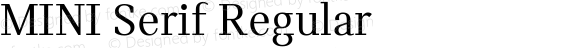 MINI Serif Regular