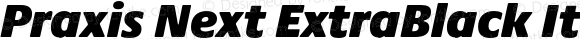 Praxis Next ExtraBlack Italic