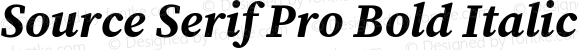 Source Serif Pro Bold Italic