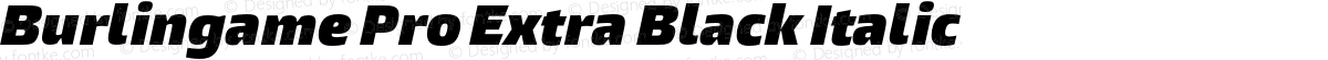 Burlingame Pro Extra Black Italic
