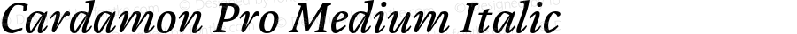 Cardamon Pro Medium Italic