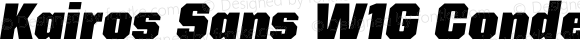 Kairos Sans W1G Condensed Black Italic