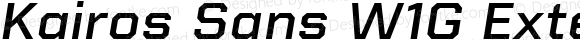 Kairos Sans W1G Extended Medium Italic