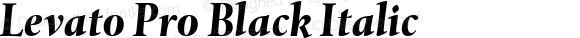 Levato Pro Black Italic