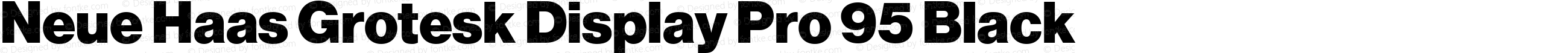 Neue Haas Grotesk Display Pro 95 Black