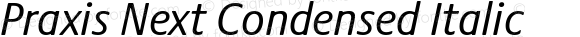 Praxis Next Condensed Italic