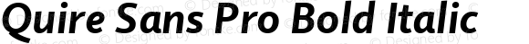 Quire Sans Pro Bold Italic