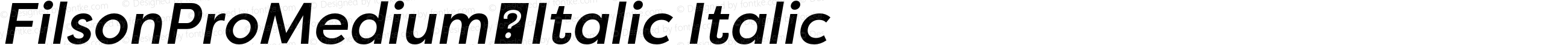 FilsonProMediumItalic-Italic