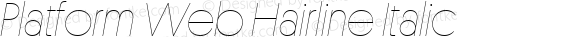 Platform Web Hairline Italic