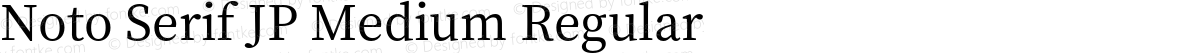 Noto Serif JP Medium Regular