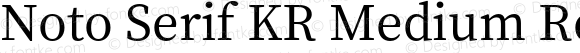 Noto Serif KR Medium Regular