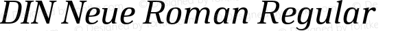 DIN Neue Roman Regular Italic