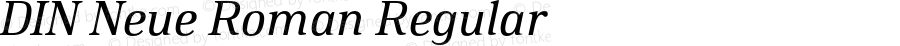 DIN Neue Roman Regular Italic