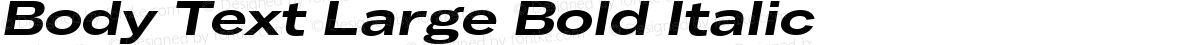 Body Text Large Bold Italic